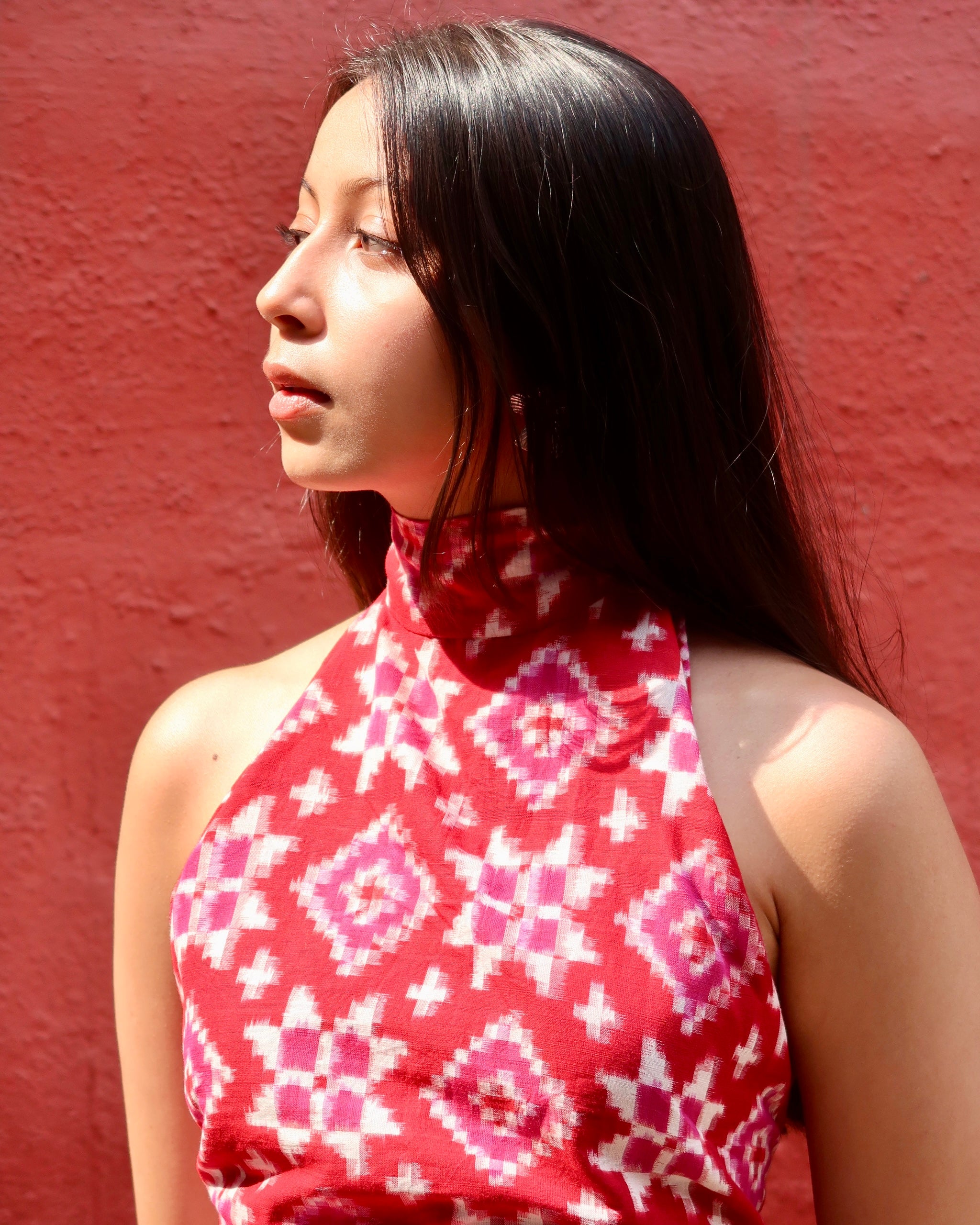 Raani Pink Double Ikkat High Neck Top